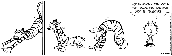 calvin and hobbes full isometric workout